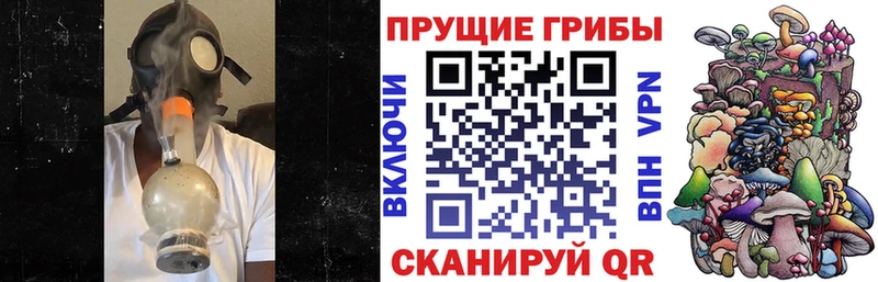 наркота  Моршанск  Псилоцибиновые грибы Magic Shrooms 