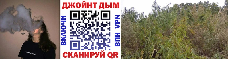 маркетплейс наркотические препараты  Моршанск  Канабис Amnesia  закладка 
